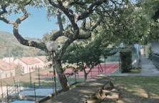 Holiday Home - Italo & Dada - Foto 6