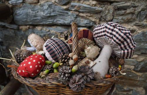 Masia Can Constans - Foto 43