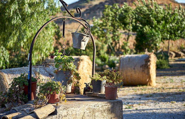 Agriturismo Conte Ruggero - Foto 74