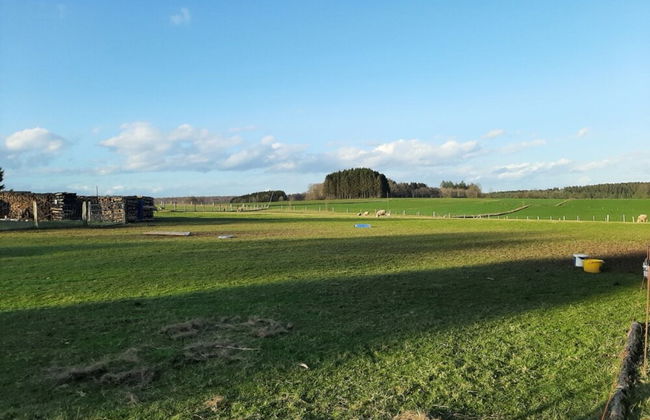 Holiday Home in Porcheresse Daverdisse - Photo 40