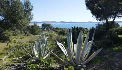 Bel Appartement accès direct mer; L'Almanarre, HYERES - Foto 5, Garden