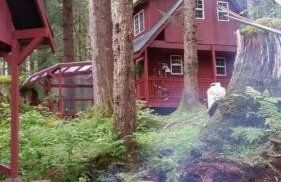 Charming A-Frame Cabin Rental on Prince of Wales Island in Hollis, Alaska - Foto 33
