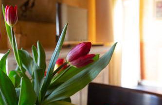 Casa Vacanze Le Tre Casette - Foto 41