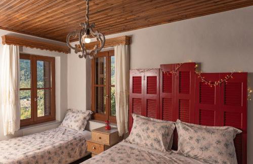 Μορχέλα, ολόκληρο σπίτι! - Photo 2