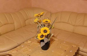 Fewo am Ith - Foto 10