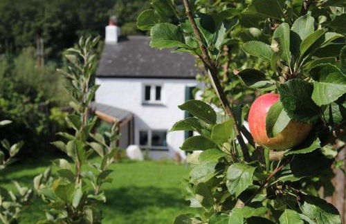 Peacock Cottage - Foto 17