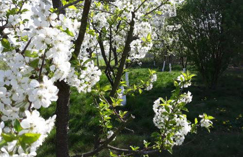 Dworska Zagroda - Foto 48