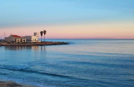 Agata Sea Horse - Foto 35