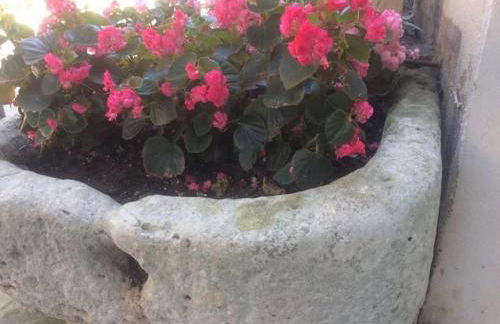 Il Gelso Bianco - Foto 24