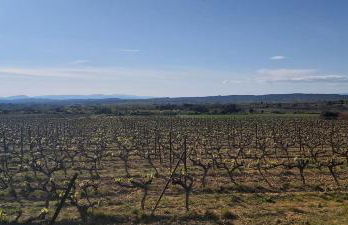 Maison Barban - Photo 56