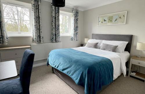 River Rose - Foto 12