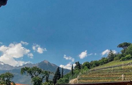 Franz Haus Apartments - Foto 11