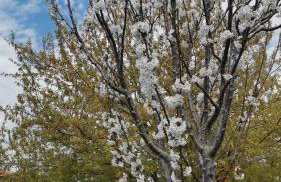 ANASTASIA HOUSE - Foto 15