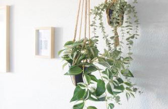 Cap One, au cœur de Cap Esterel VUE MER & PISCINES - Accès piscines et parking couvert inclus - Foto 15