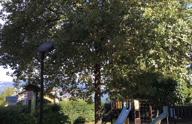 Trarego Haus - Photo 75