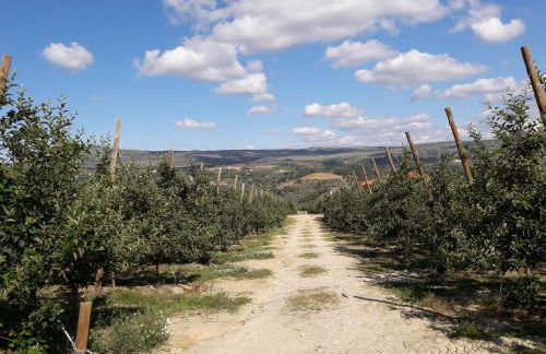 Casa do Feitor - Douro - Quinta da Cabrida - Foto 66