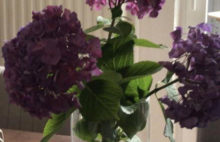 Ferienwohnung M1 - Foto 51