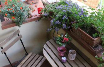 Bencini Family - Foto 3