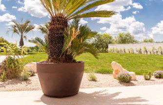 Villa Alessandro - Foto 46