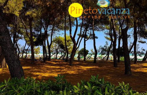 Ficus 3 - Pineto Vacanza - Foto 13