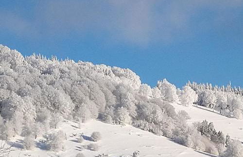 Happy Big Family - Foto 12