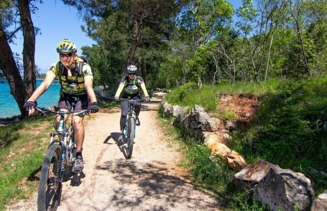 House of Olives Comfortable Holiday Residence - Foto 33