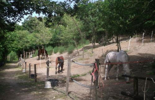 Agriturismo Le Giare - Photo 24