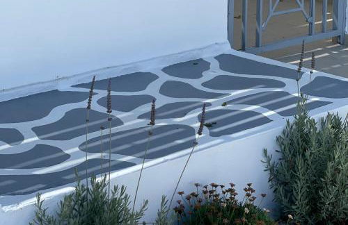 Summer Vibes - Photo 29