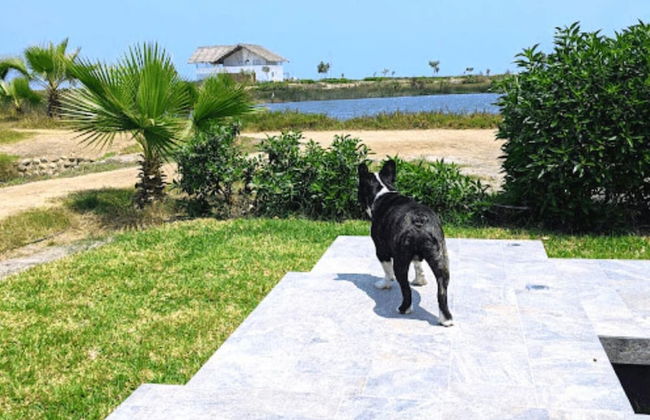 HOP Lago MAR Exclusiva en Playa de Chincha - Photo 34