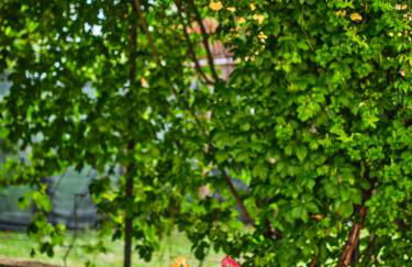 Casa Vacanze Santa Caterina - Foto 60