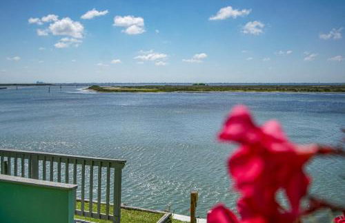 Multi Resorts at Puente Vista - Foto 62