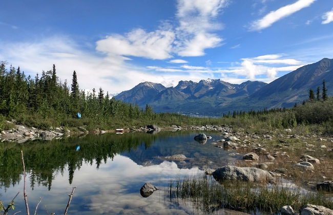 Blackburn Cabins - Photo 35