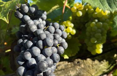 Casa Nonna Nina - Foto 24