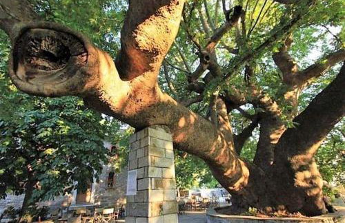 Tsagarada Stone House 1898 - Foto 74