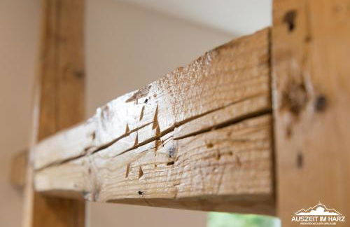 Auszeit-im-Harz Haus 2 Wohnung 3 - Foto 28