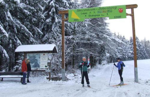 Frankenwald Ferienhaus FourStars am See in Lichtenberg, Bayern, Oberfranken, Bad Steben - Hof -Saale, Rennsteig - Foto 77