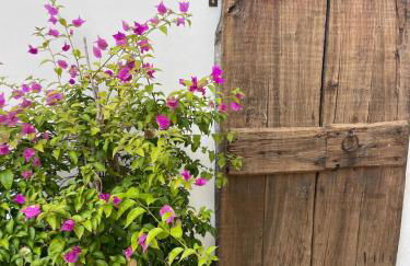 Large family - Foto 54