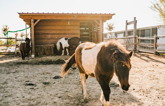 La Tenuta di Santo Stefano Agri Resort & Spa - Photo 59