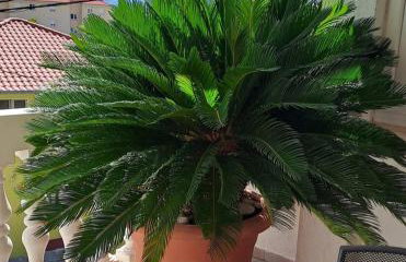 Apartmani ANITA - Photo 21