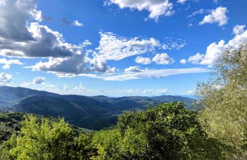 Appartamento Perito - Foto 2