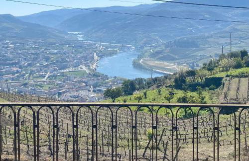 Quinta de Sobre a Fonte Charming Apartments - traditional winery - Foto 74