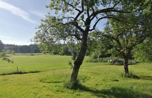 Marxhof Seebruck am Chiemsee - Photo 34