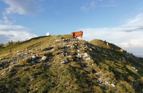 Cahute de montagne - Foto 12