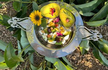 Krisant Gold Rural Luxury Privat Pool - Foto 49