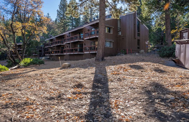 Elmer's Hideout - Fully Renovated Yosemite Escape! - Foto 19