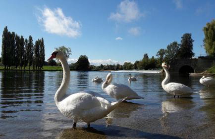 APARTMAN NENA - Foto 1