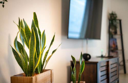 EasyBike Balkon Switch 4P Grill - Foto 6