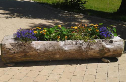 Ferienhof Almfrieden - Photo 16