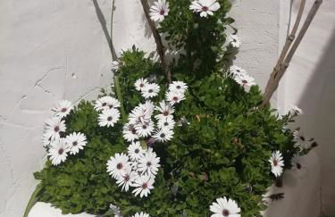 Two Lofts - Photo 10