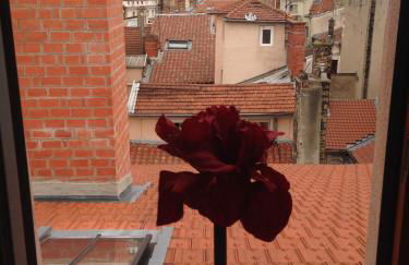 Les Toits de Lyon au coeur du centre-ville tout à pied - Foto 27